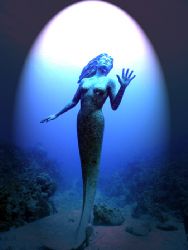 Does the light not always shine on Beauty? The mermaid of... by Michael Canzoniero 